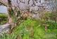 Additional image 16 of Wittersham Road, Iden, Rye