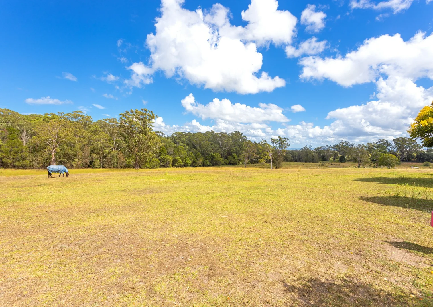 Additional image 26 of 16 Ruprechts Road, Mitchells Island NSW 2430