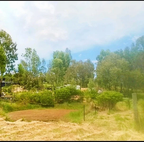 Additional image 17 of Eleanor Street, Mount Perry QLD 4671