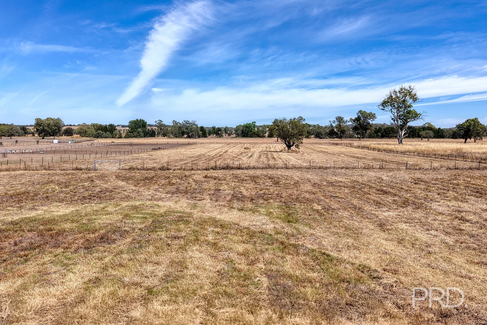 Additional image 6 of 479 Spains Lane, Quirindi NSW 2343