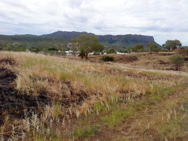 Additional image 4 of Lot 11 South Street, Springsure QLD 4722
