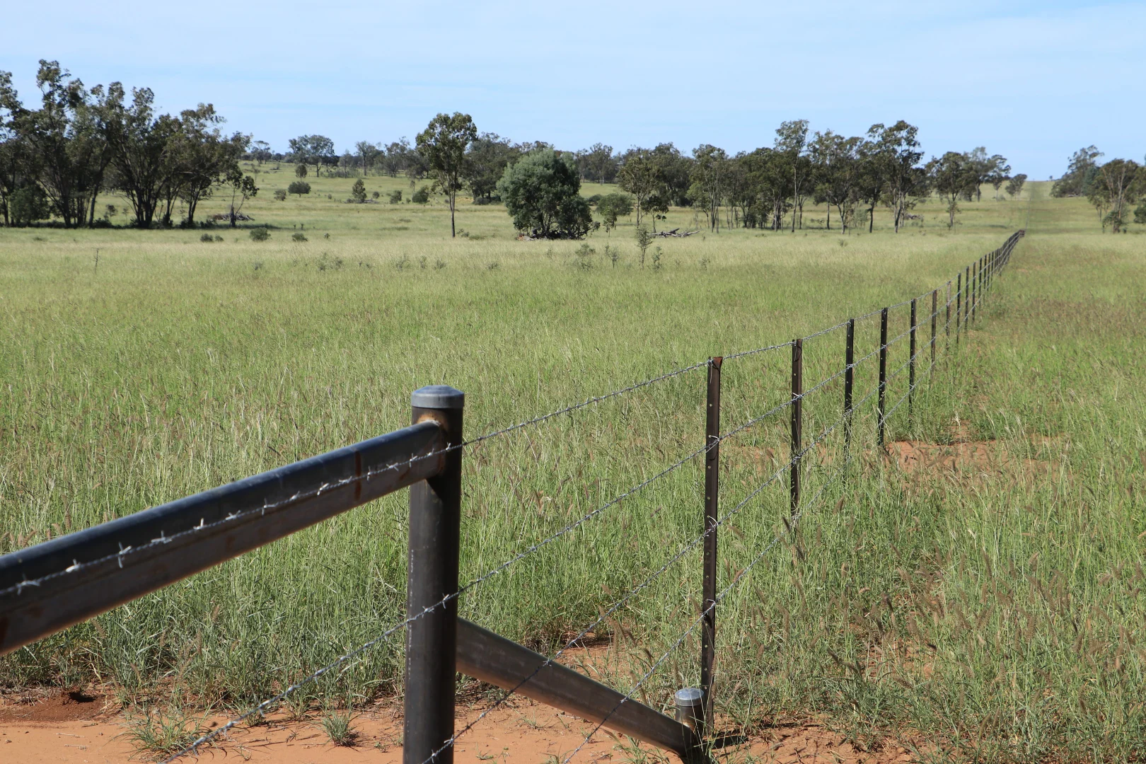 Additional image 12 of 564 ORALLO ROAD, Roma QLD 4455