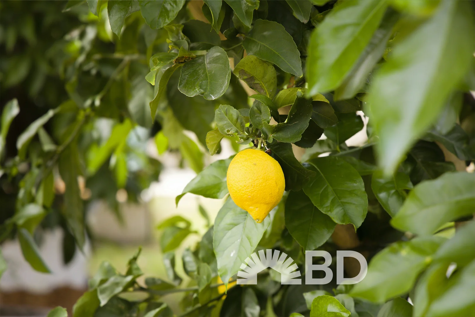 Additional image 17 of 14 Avon Avenue, Banksia Beach QLD 4507