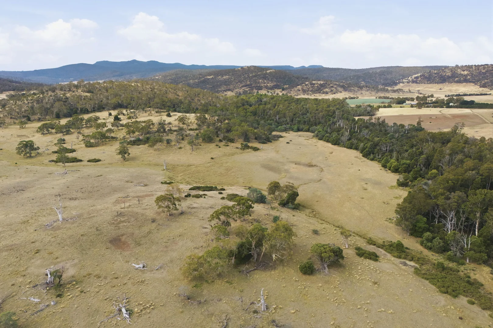 411 Bryants Lane, Deddington TAS 7212 photo 4