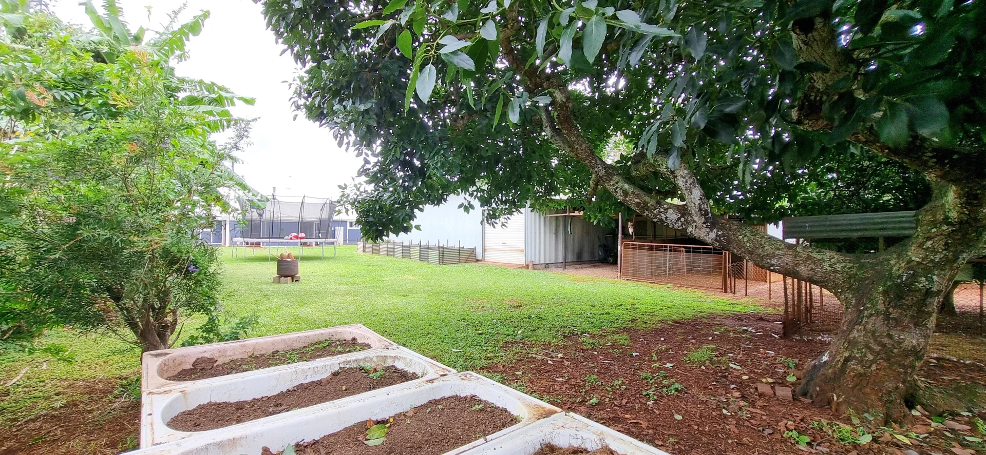 Additional image 39 of Ravenshoe QLD 4888