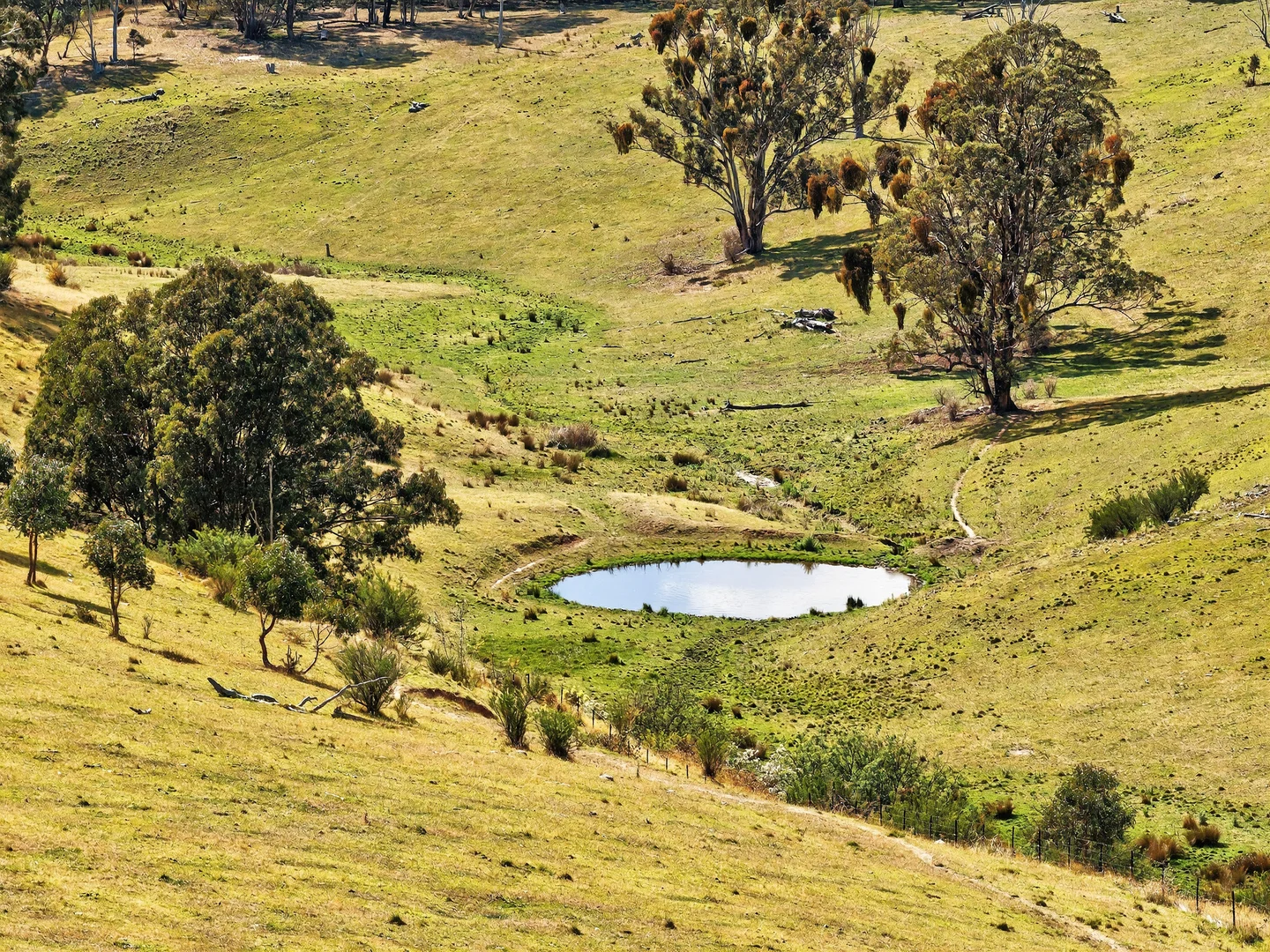 Additional image 8 of 89 Ensay-Doctors Flat Road, Ensay VIC 3895
