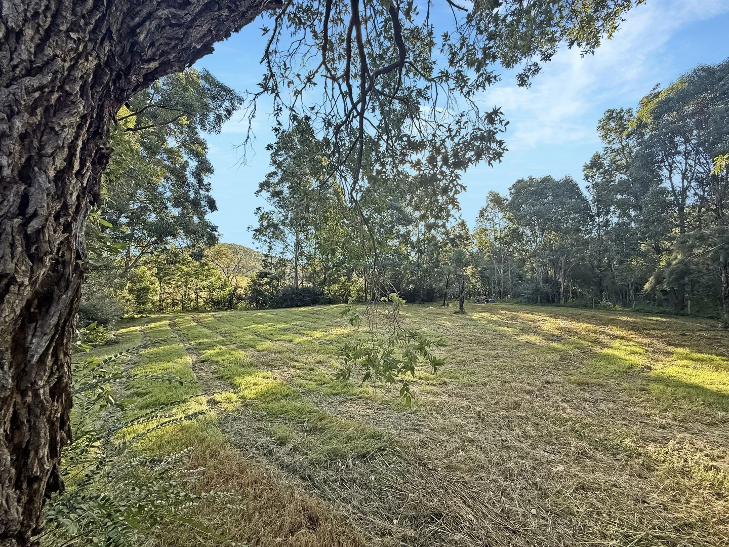 2938 Paynes Crossing Rd, Wollombi NSW 2325