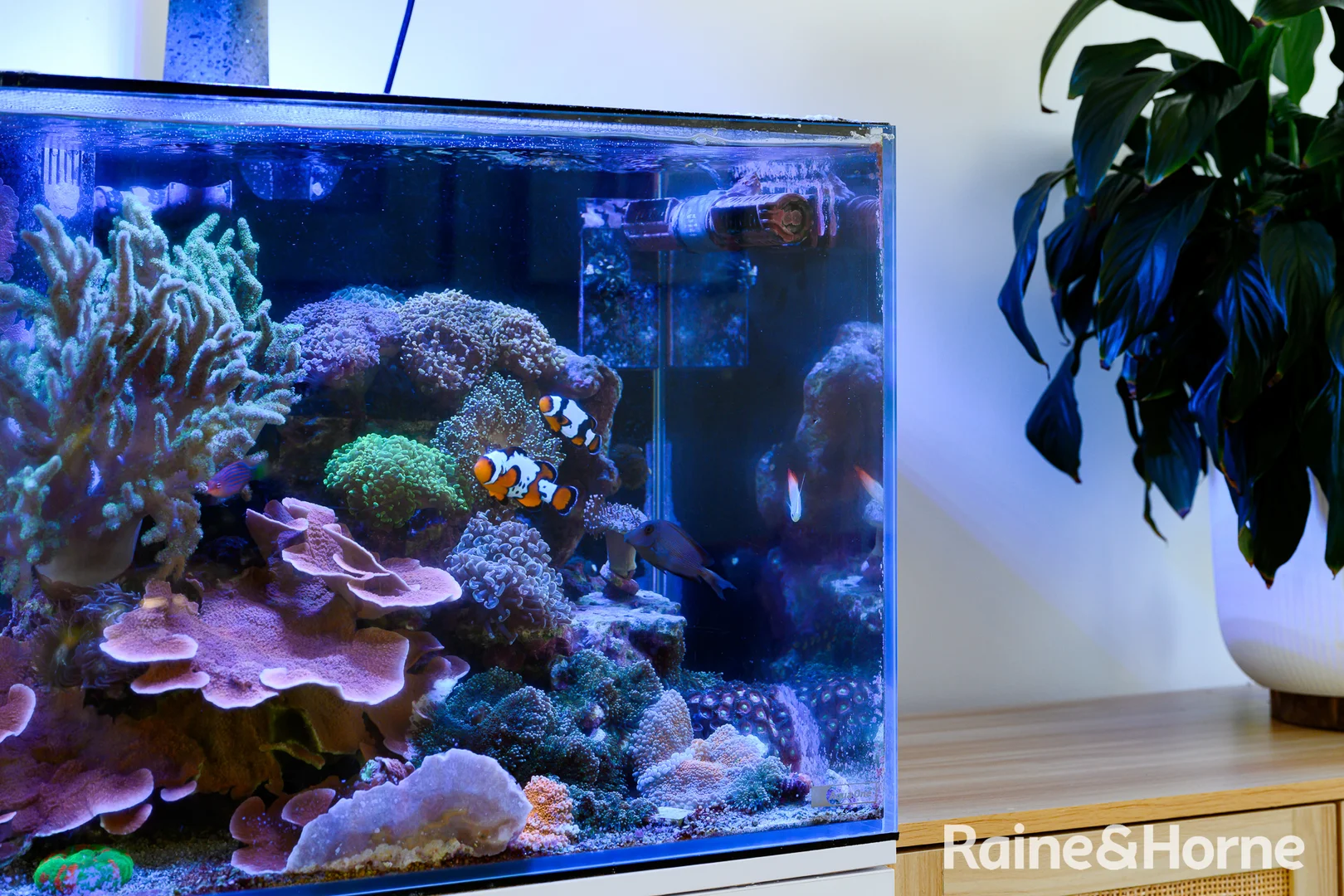 Additional image 18 of 903/87 Shoreline Drive, Rhodes NSW 2138