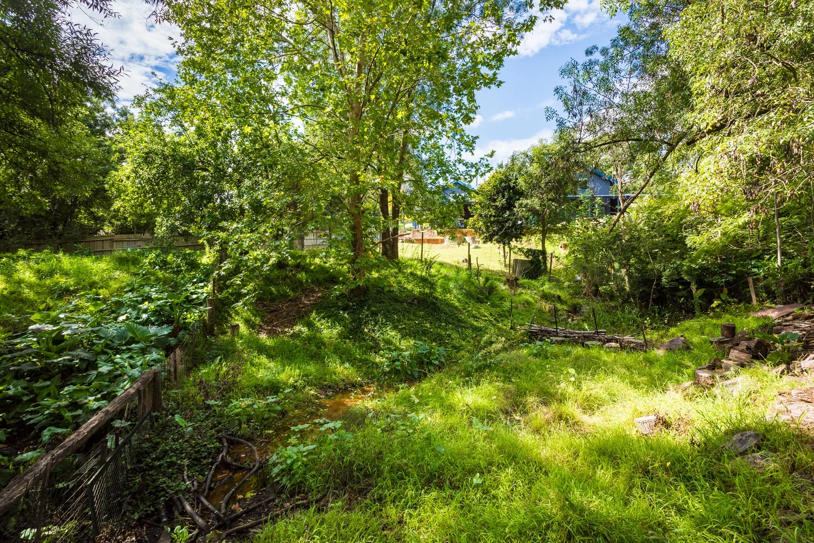 Additional image 26 of 43 Scott Street, Wolumla NSW 2550