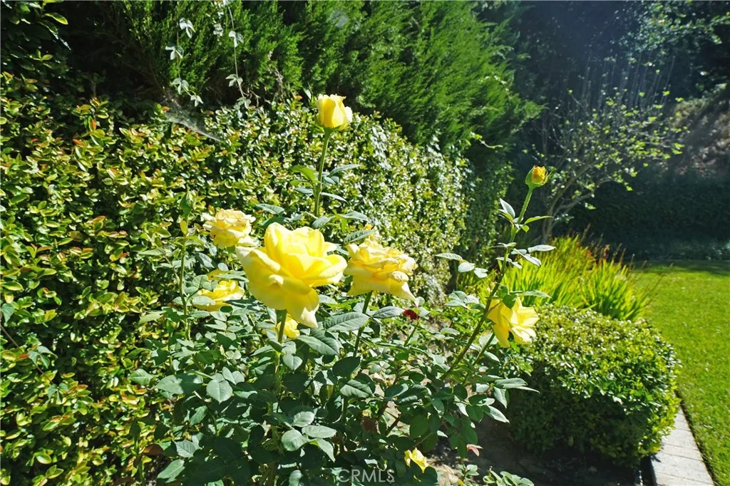 Additional image 113 of 5816 Carell Avenue, Agoura Hills, CA 91301