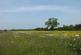 Additional image 25 of Klondyke Farm. Ings Lane, Bratoft, Skegness