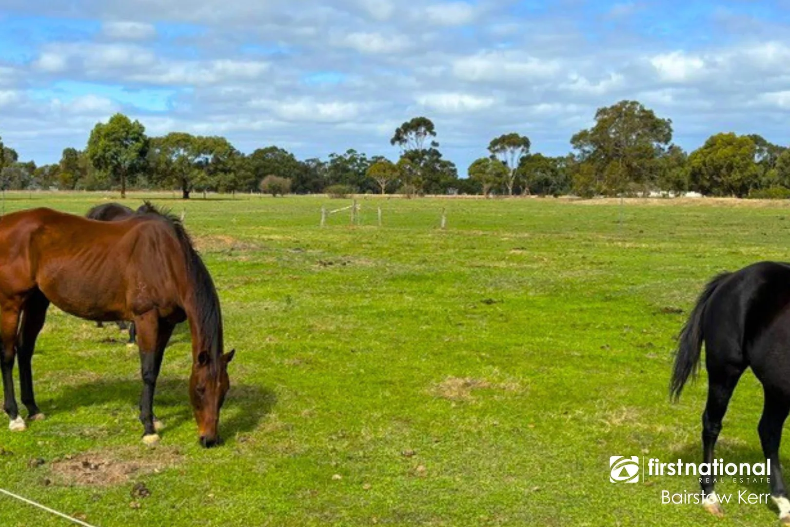Additional image 4 of 1031 Jutland Road, Kendenup WA 6323