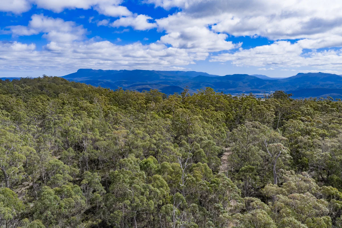 Additional image 3 of Mt Foster Road, Fingal TAS 7214