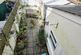 Additional image 13 of Tredydan Road, Launceston