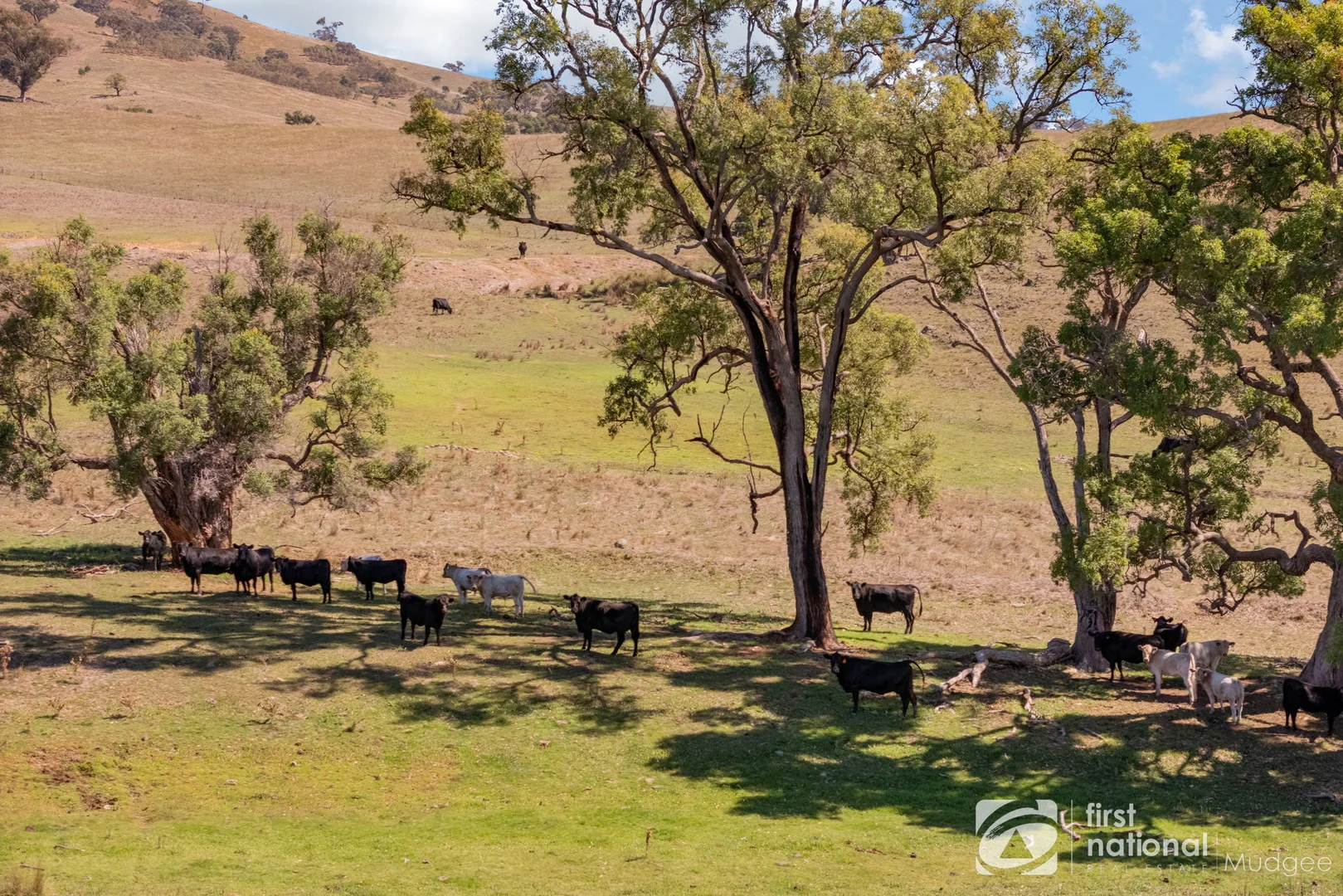 Additional image 10 of 365 Erudgere Lane, Mudgee NSW 2850