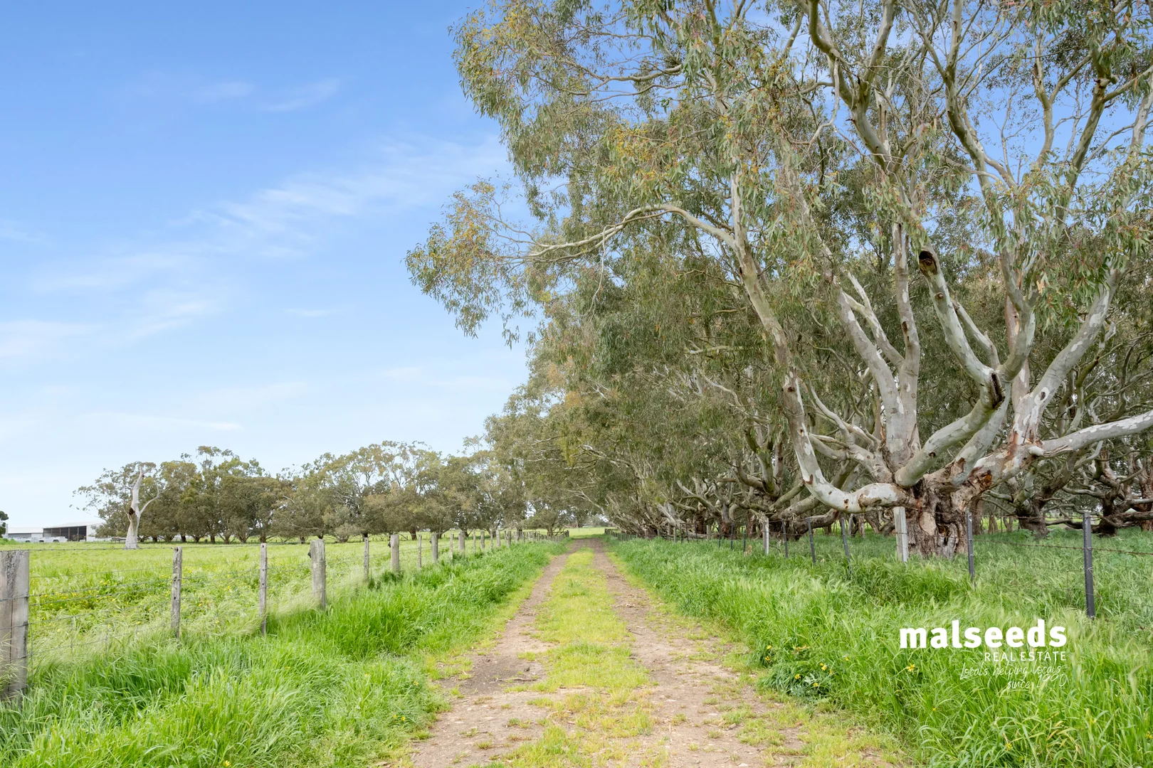 Additional image 37 of 1365B Mingbool Road, Mingbool SA 5291
