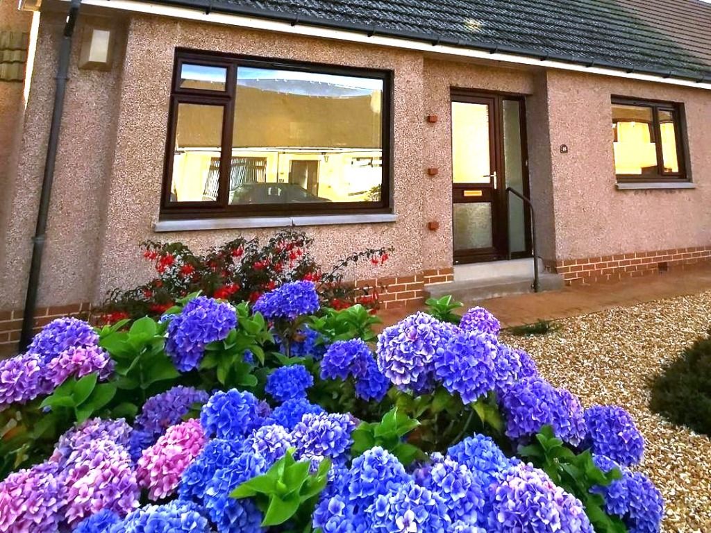Additional image 18 of 2 bed semi-detached house to rentBeaumont Crescent, Broughty Ferry, Dundee DD5