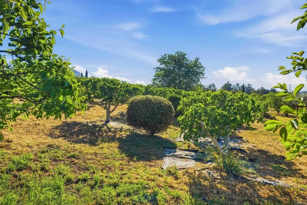 Additional image 49 of 18131 Traylor Road, Ramona, CA 92065