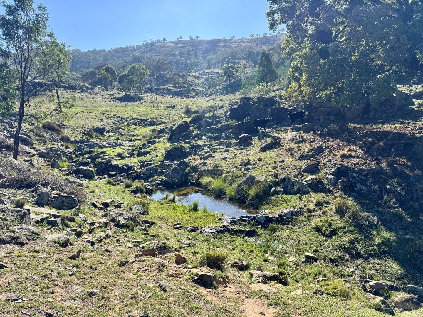 Additional image 2 of 2/1193 Yarrabin Road, Mudgee NSW 2850
