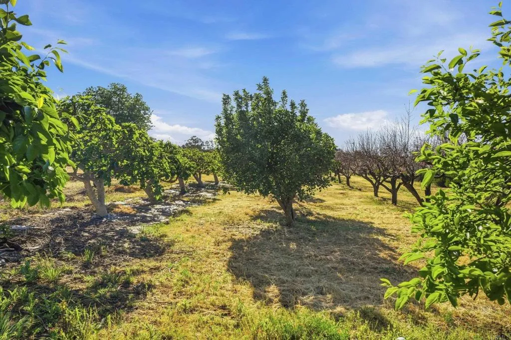 Additional image 109 of 18131 Traylor Road, Ramona, CA 92065