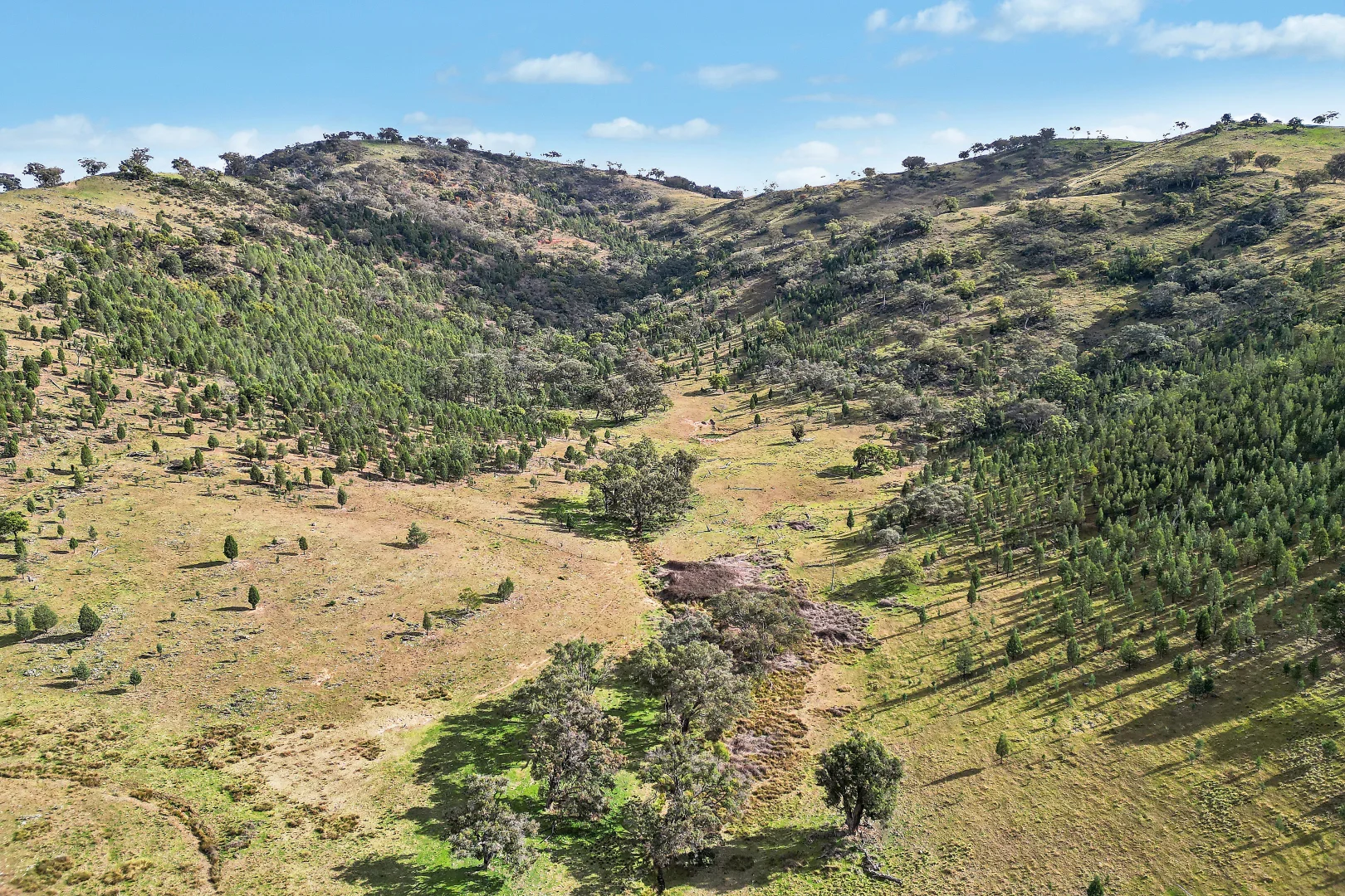 Additional image 10 of 2/1193 Yarrabin Road, Mudgee NSW 2850