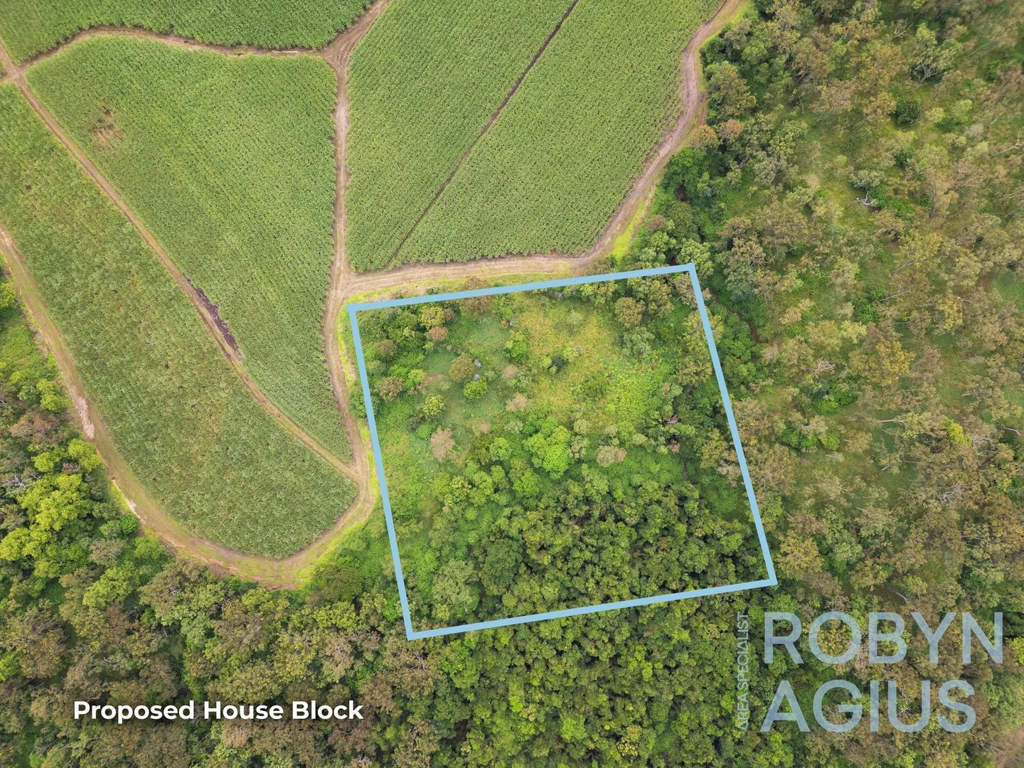 Pinnacle QLD 4741 photo 4