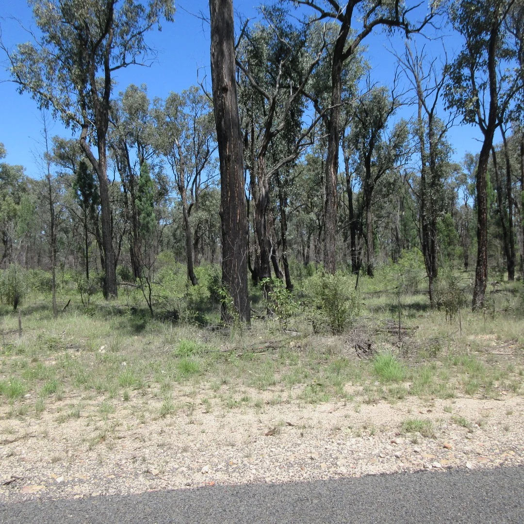 Lot 6 Wallaby Track, Tara QLD 4421