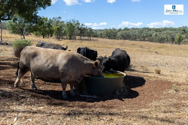 Additional image 15 of 'Glenrocky' 100 Lamonts Lane, Inverell NSW 2360