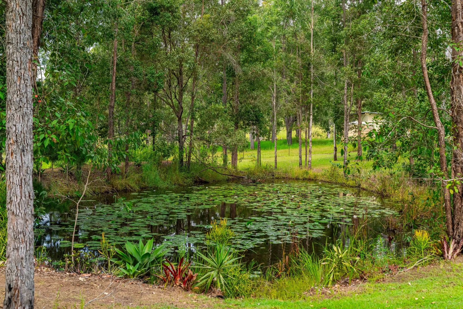Additional image 17 of 12 Te Araowa Drive, North Casino NSW 2470