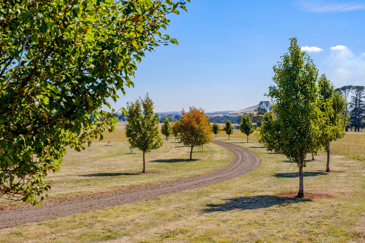 Additional image 6 of 80 Victoria Road, Kingston VIC 3364
