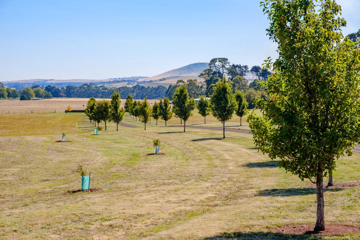 Additional image 12 of 80 Victoria Road, Kingston VIC 3364