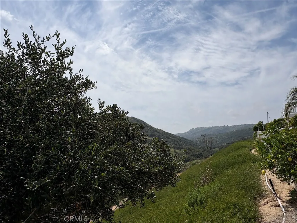 Additional image 68 of 40 Silkwood, Aliso Viejo, CA 92656