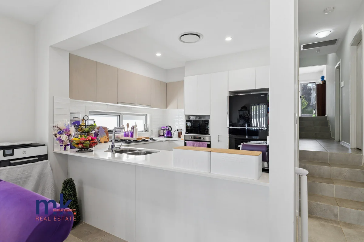 Additional image 4 of 163 Liz Kernohan Drive, Elderslie NSW 2570