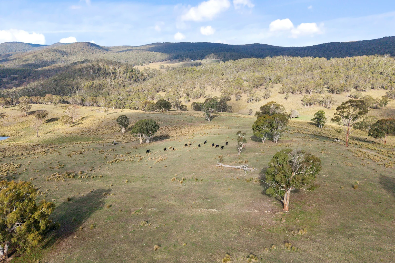 Additional image 33 of 507 Harolds Cross Road, Braidwood NSW 2622