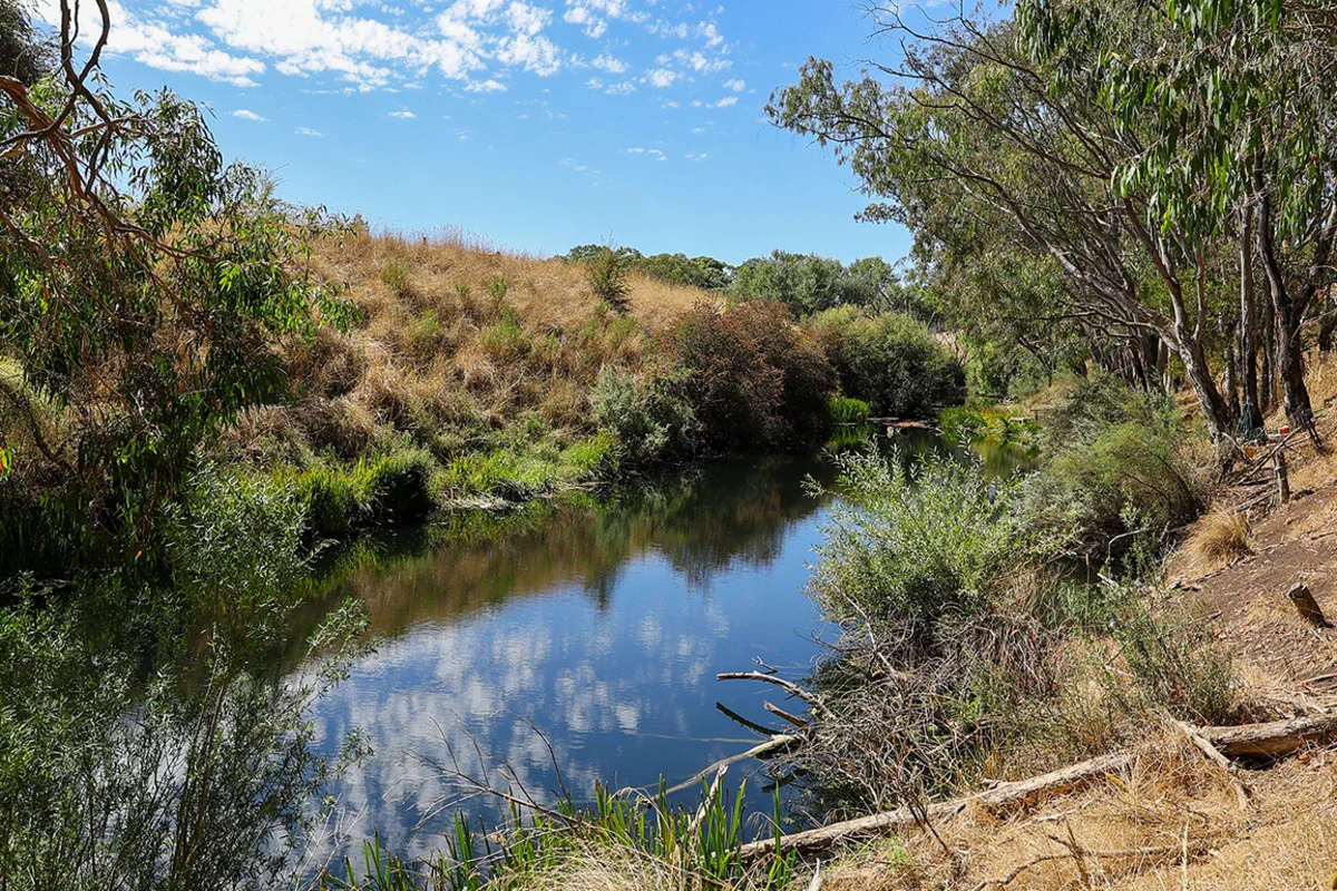 Additional image 28 of 138 Bridge Road, Bushfield VIC 3281