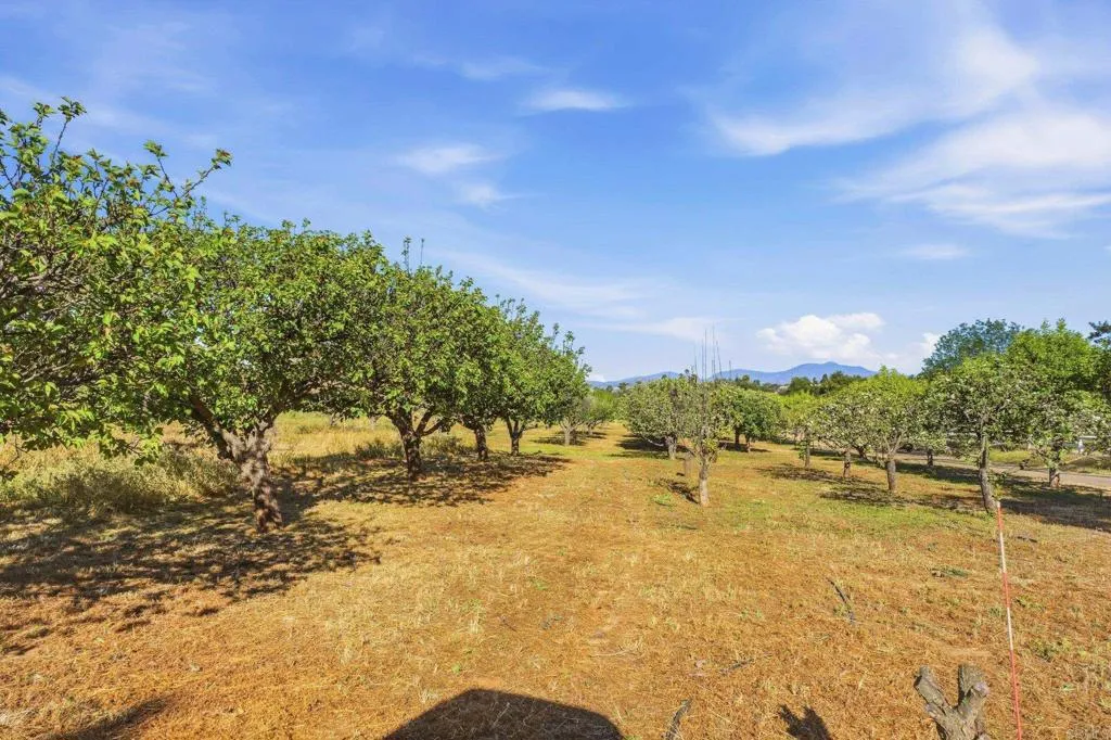 Additional image 115 of 18131 Traylor Road, Ramona, CA 92065