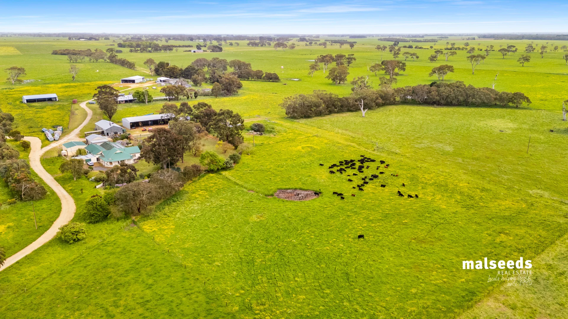 Additional image 36 of 1365B Mingbool Road, Mingbool SA 5291