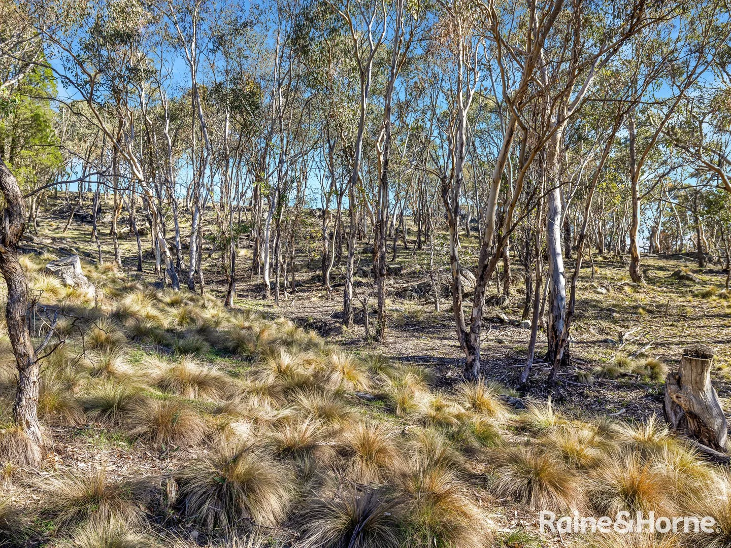 Additional image 30 of 1459 Freemantle Road, Watton NSW 2795