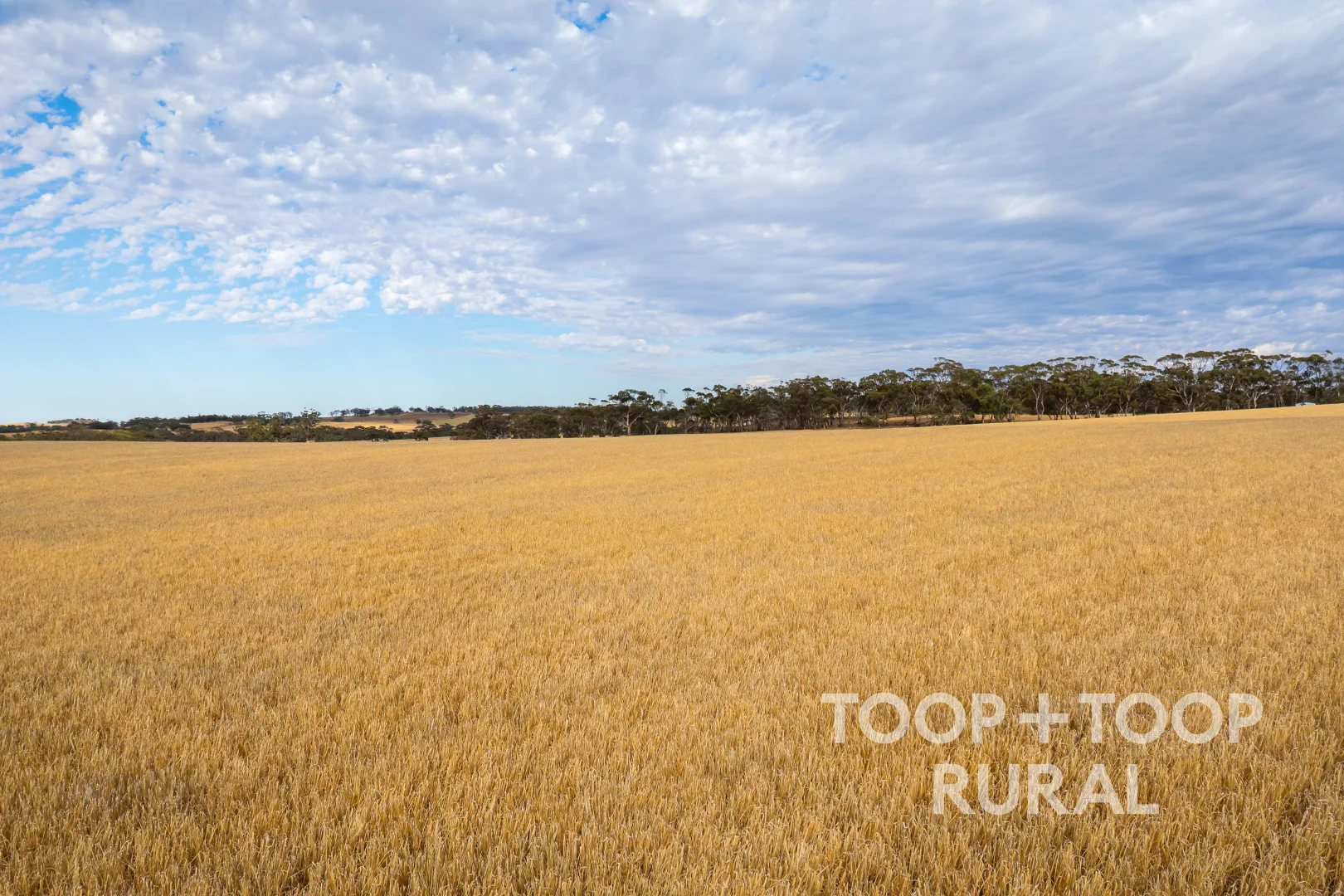 Additional image 3 of Berry Road, St Kitts SA 5356