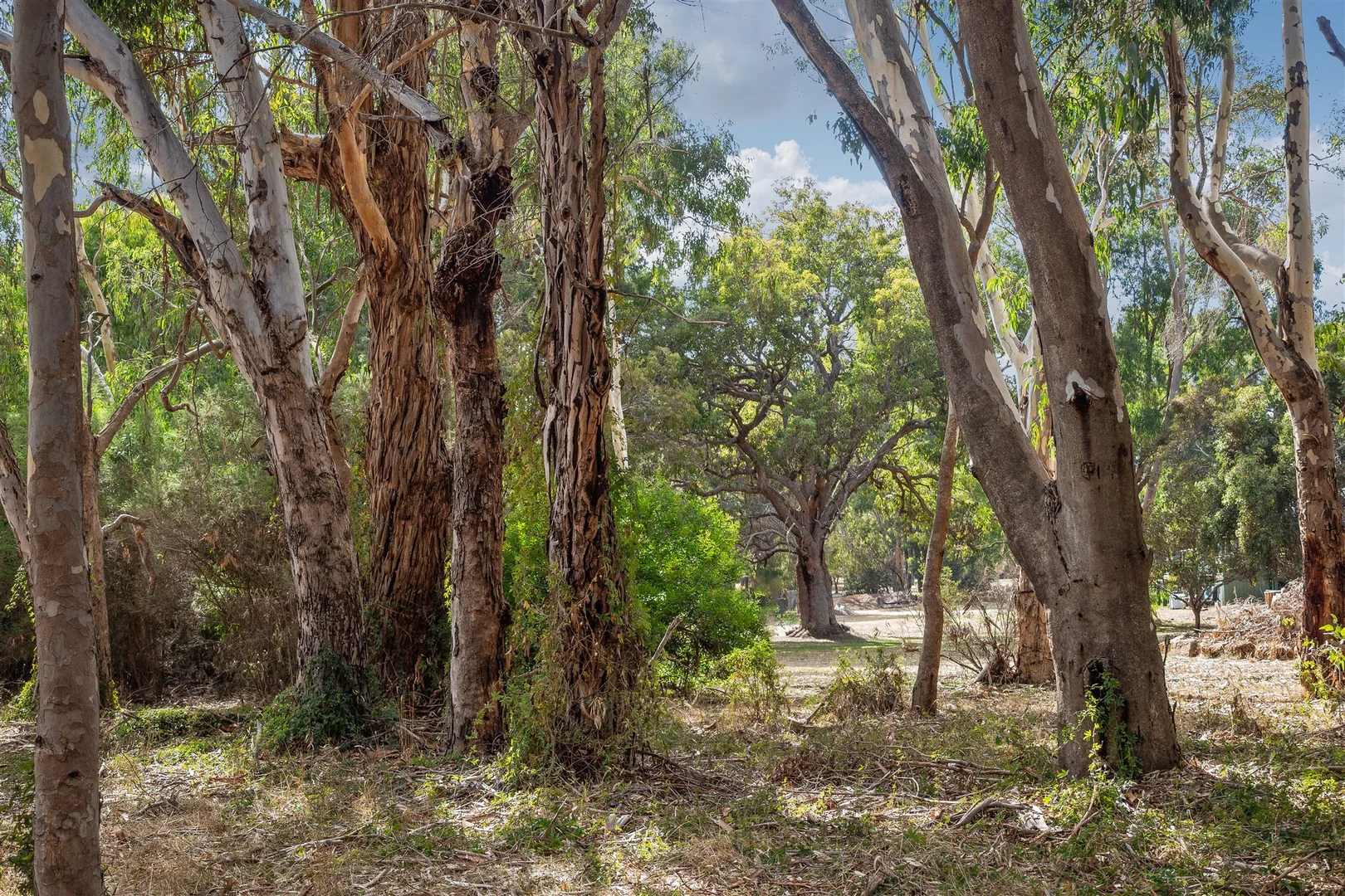 Additional image 26 of 3 Devon Drive, Margaret River WA 6285