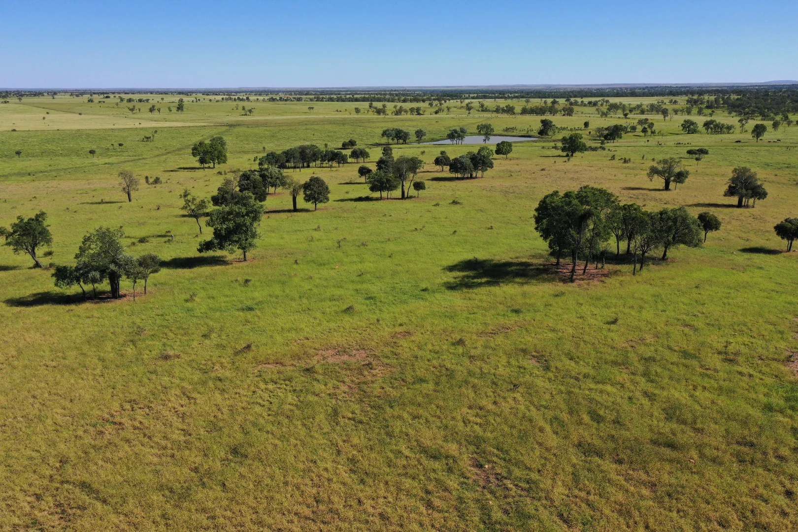 Additional image 3 of 564 ORALLO ROAD, Roma QLD 4455