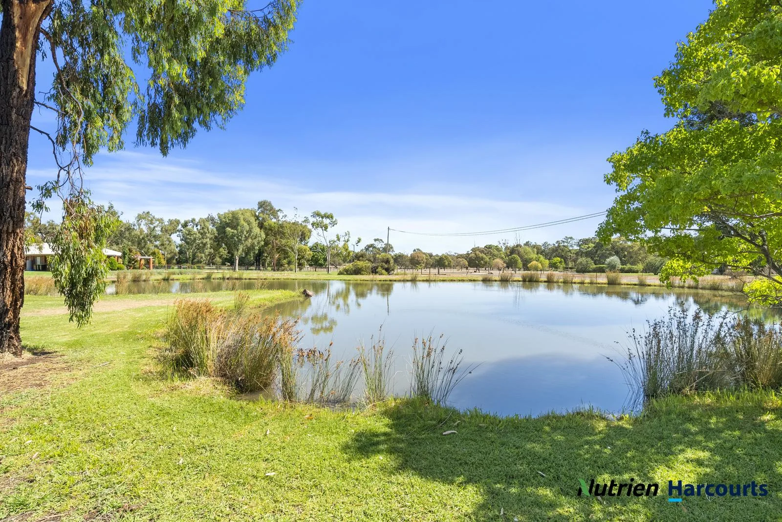Additional image 3 of 43 Willow Drive, Deniliquin NSW 2710