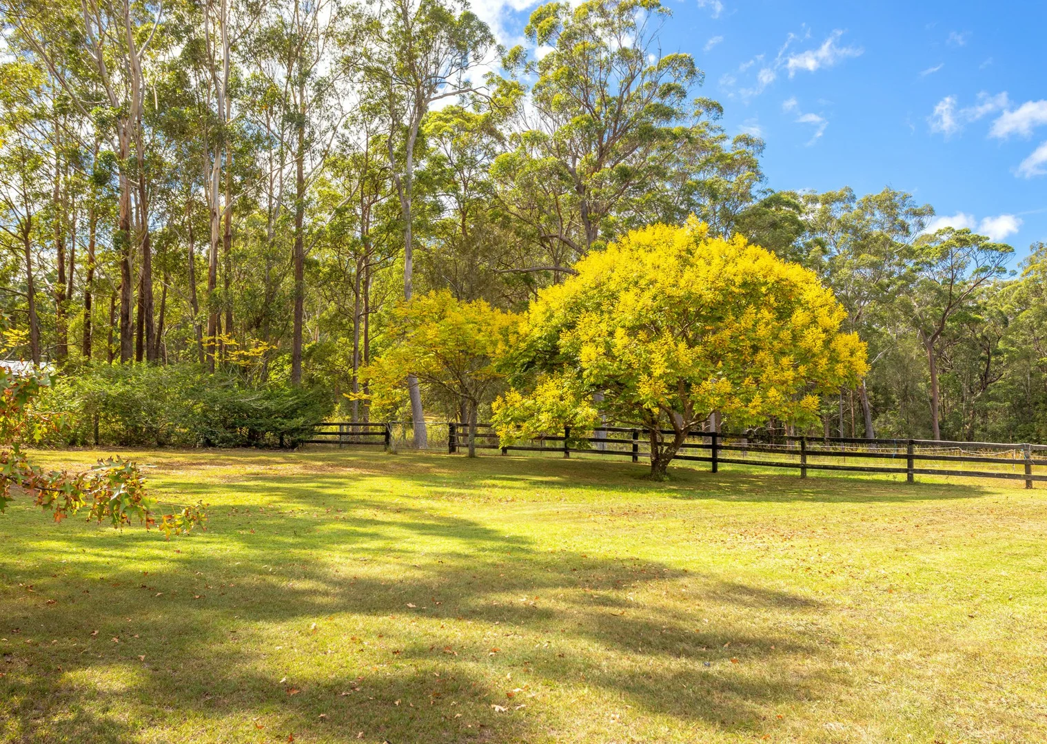 Additional image 23 of 16 Ruprechts Road, Mitchells Island NSW 2430