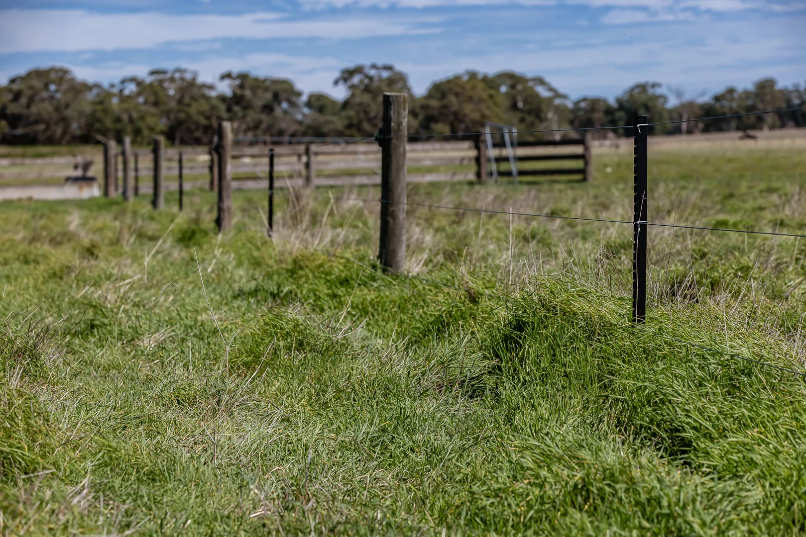 Additional image 13 of 576 Lochaber North Road, Lochaber SA 5271