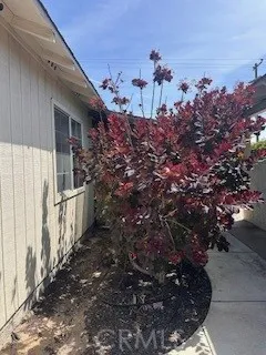 Additional image 109 of 785 Miles Ave, Santa Maria, CA 93455