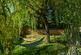 Additional image 2 of The Grove, Barham, CT4