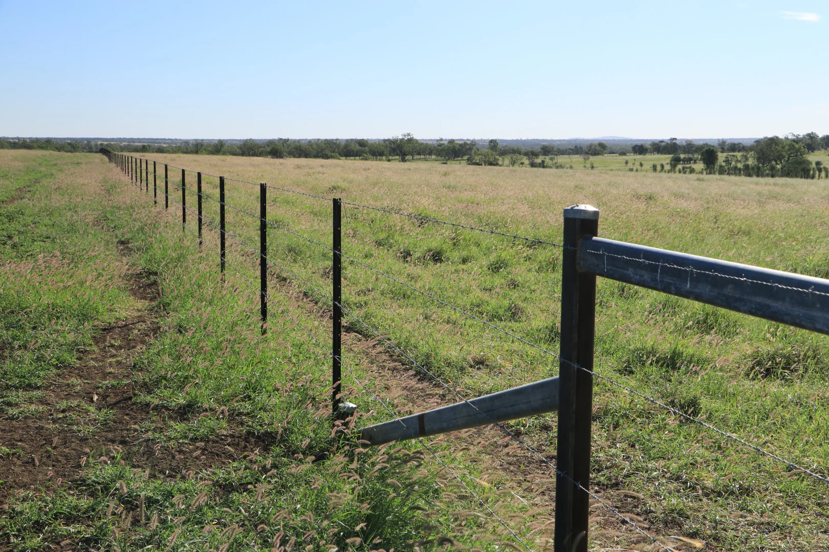 Additional image 7 of 564 ORALLO ROAD, Roma QLD 4455