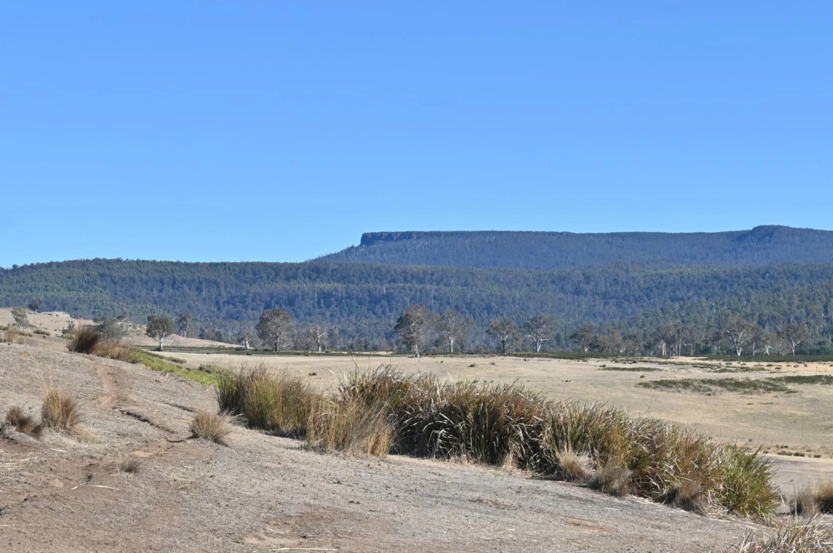 Additional image 33 of 486 Lower Marshes Road, Jericho TAS 7030