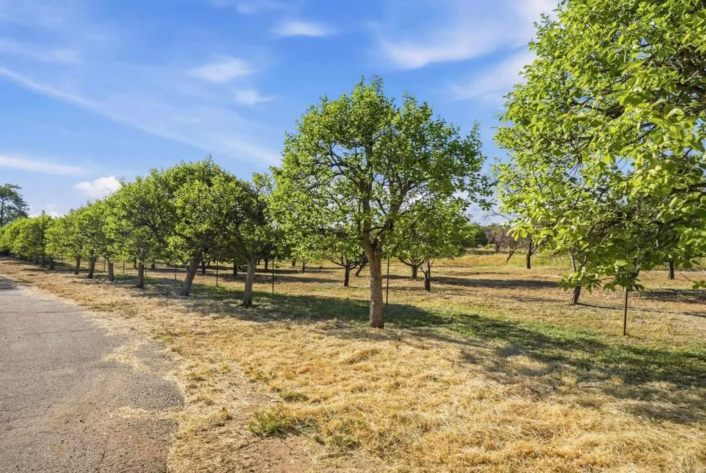 Additional image 52 of 18131 Traylor Road, Ramona, CA 92065
