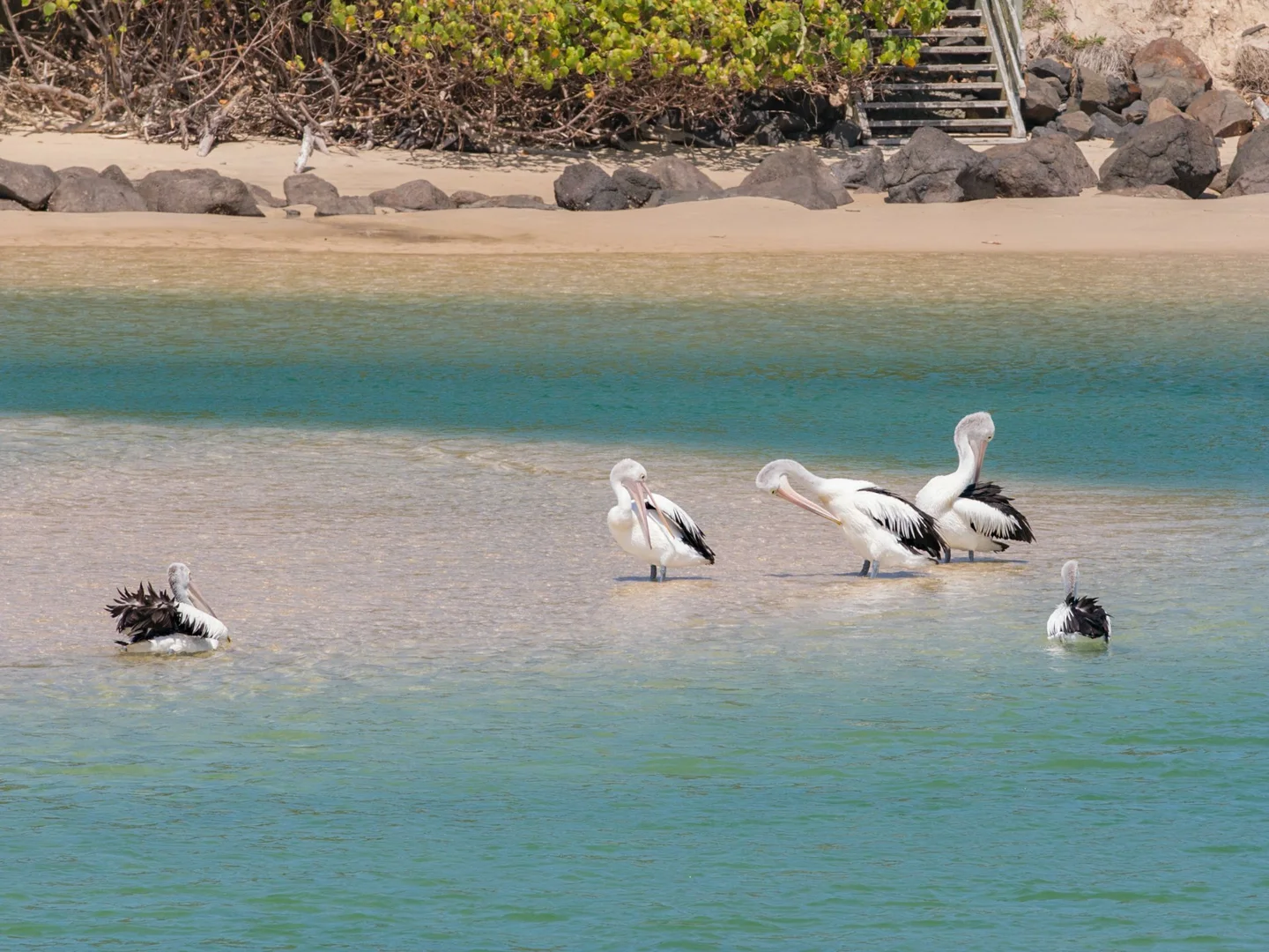 Additional image 40 of 1&2/61 Vulcan Street, Kingscliff NSW 2487